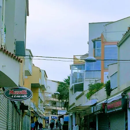Asphodèles Bord De *