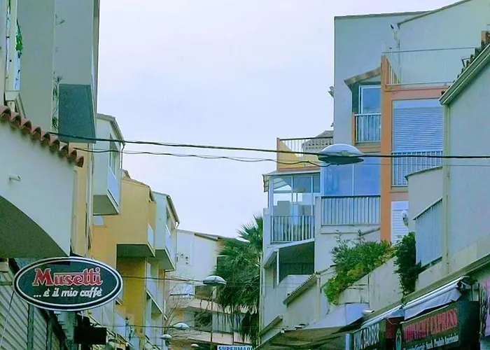 Asphodèles Bord De *